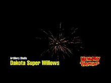 Load and play video in Gallery viewer, Dakota Super Willows
