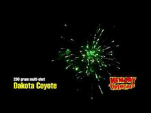 Load and play video in Gallery viewer, Dakota Wild Salmon/Coyote
