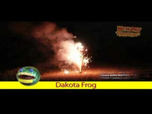 Load and play video in Gallery viewer, Dakota Frog
